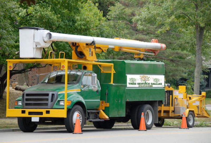 {SERVICE_NAME} project in Arlington