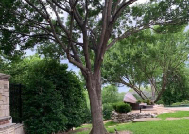 {SERVICE_NAME} project in Arlington